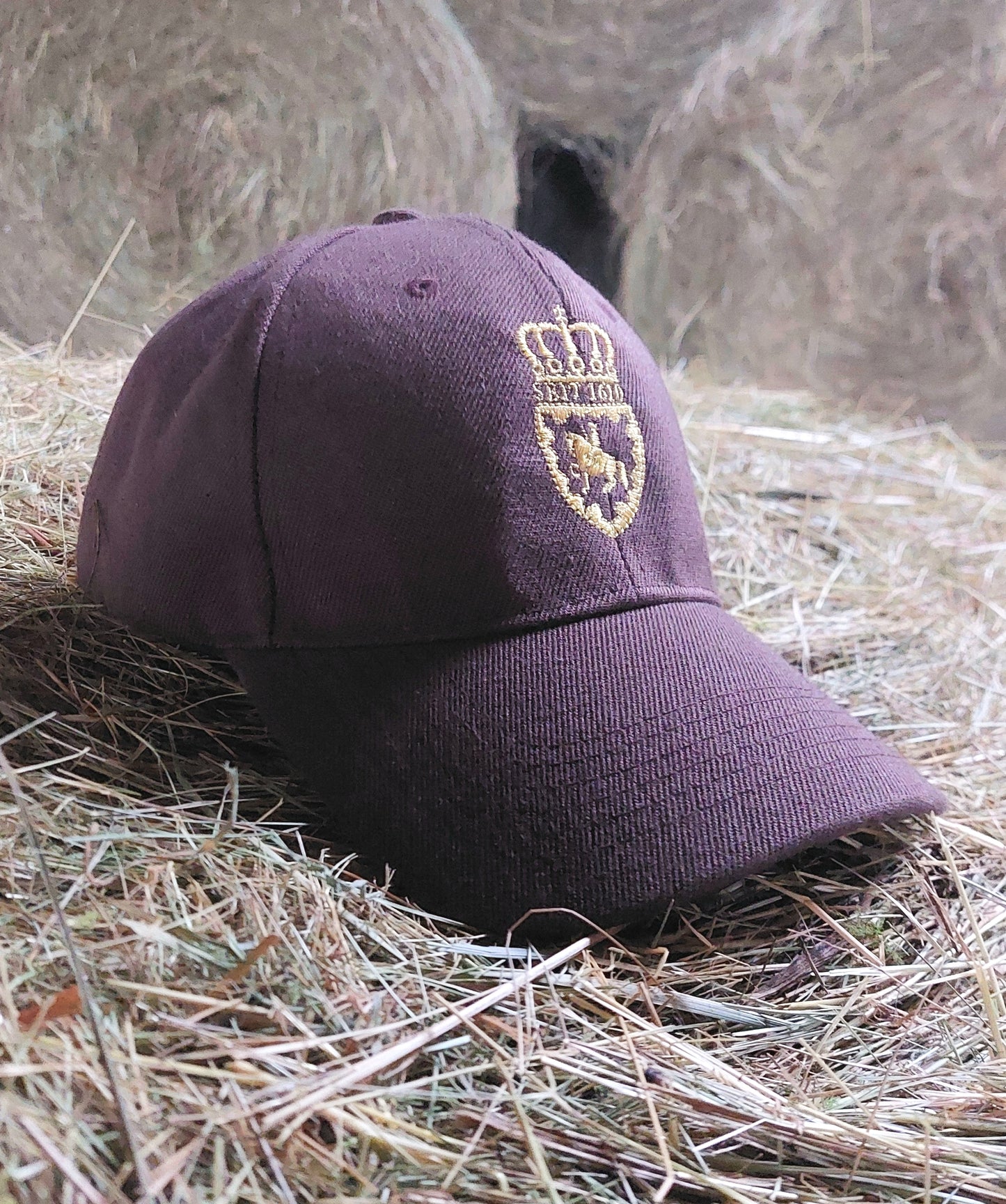 Basecap mit edlem Hofreitschul Logo