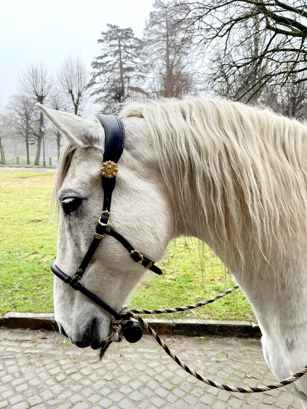 Bosal Hanger Deluxe mit Quick-Release