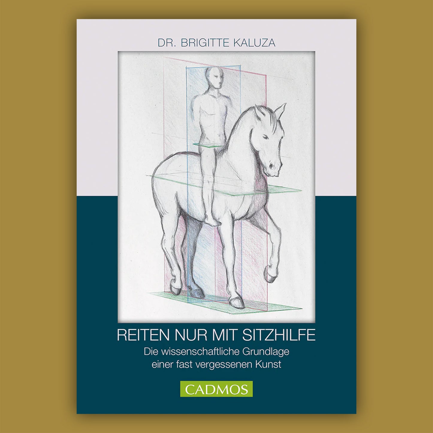 Reiten nur mit Sitzhilfe von Brigitte Kaluza