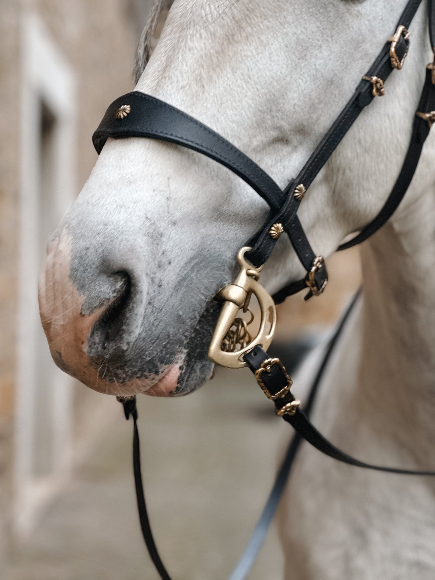 Zier-Nasenriemen für Manufaktur Schulzaum Deluxe