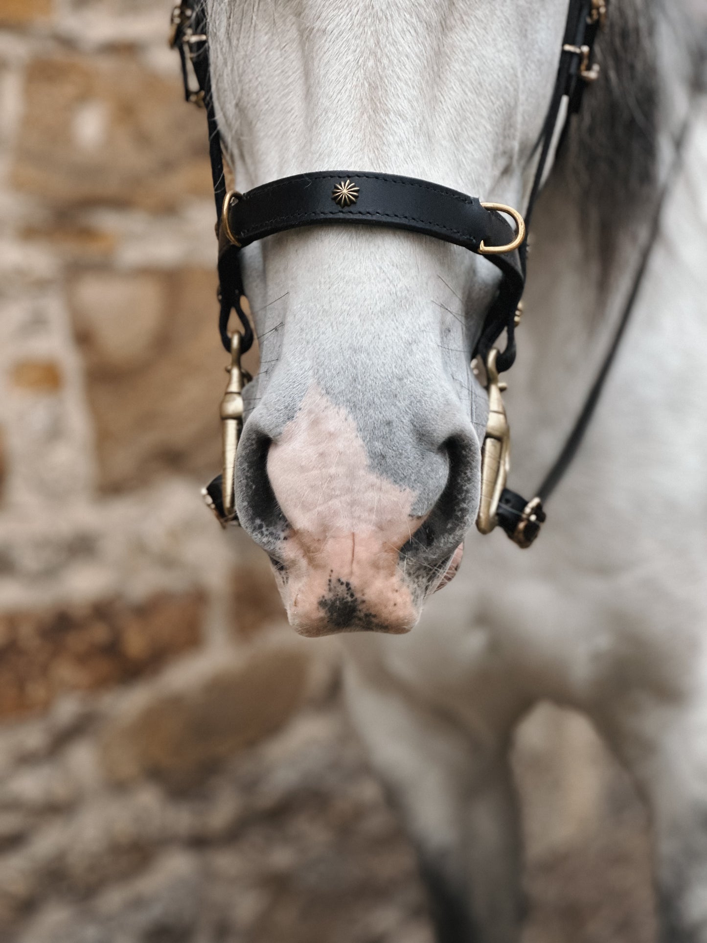Semi- Nasband mit 2 Ringen für Manufaktur Schulzaum Deluxe