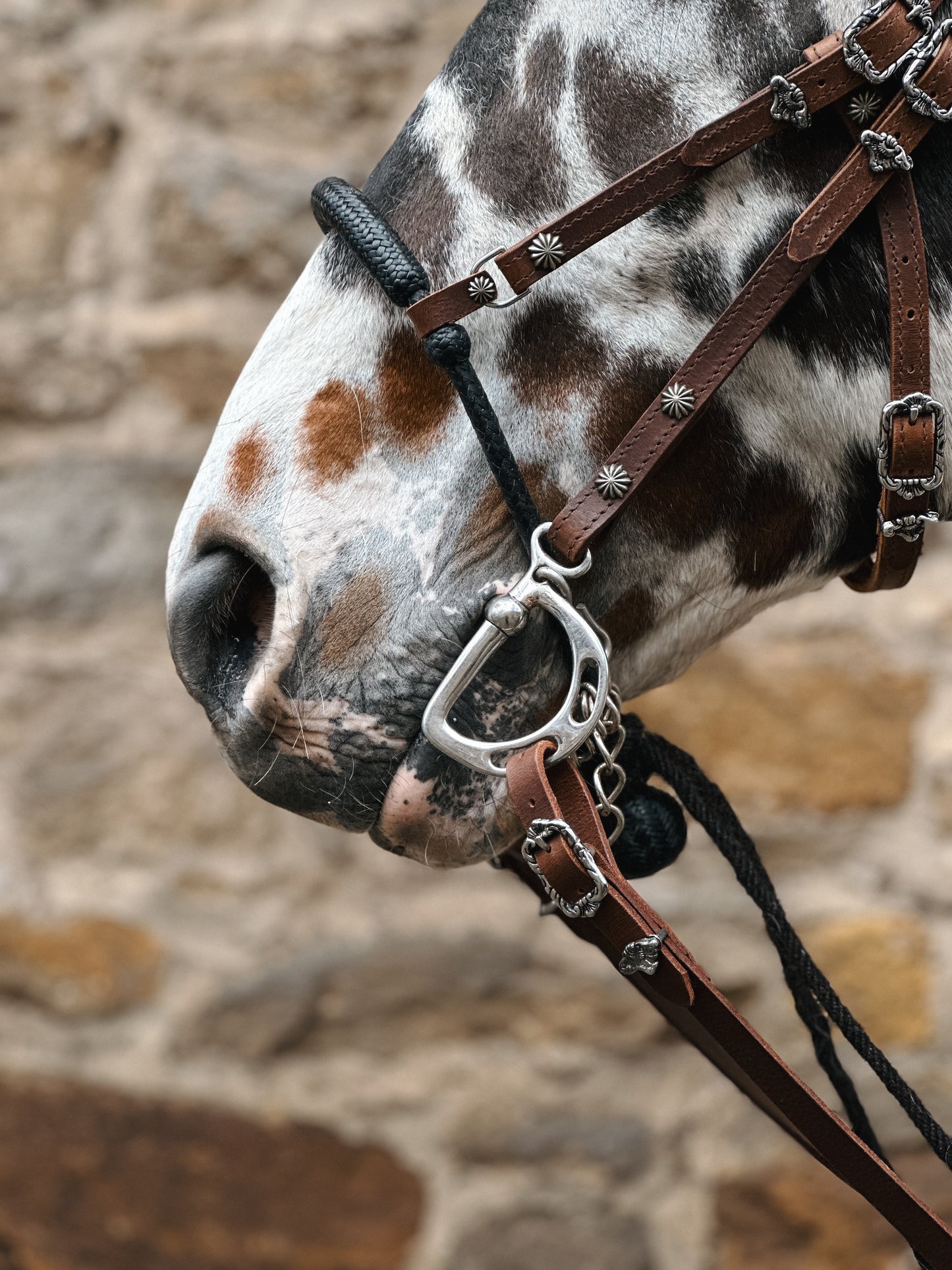 Manufaktur Schulzaum Deluxe mit oder ohne Bosalhanger