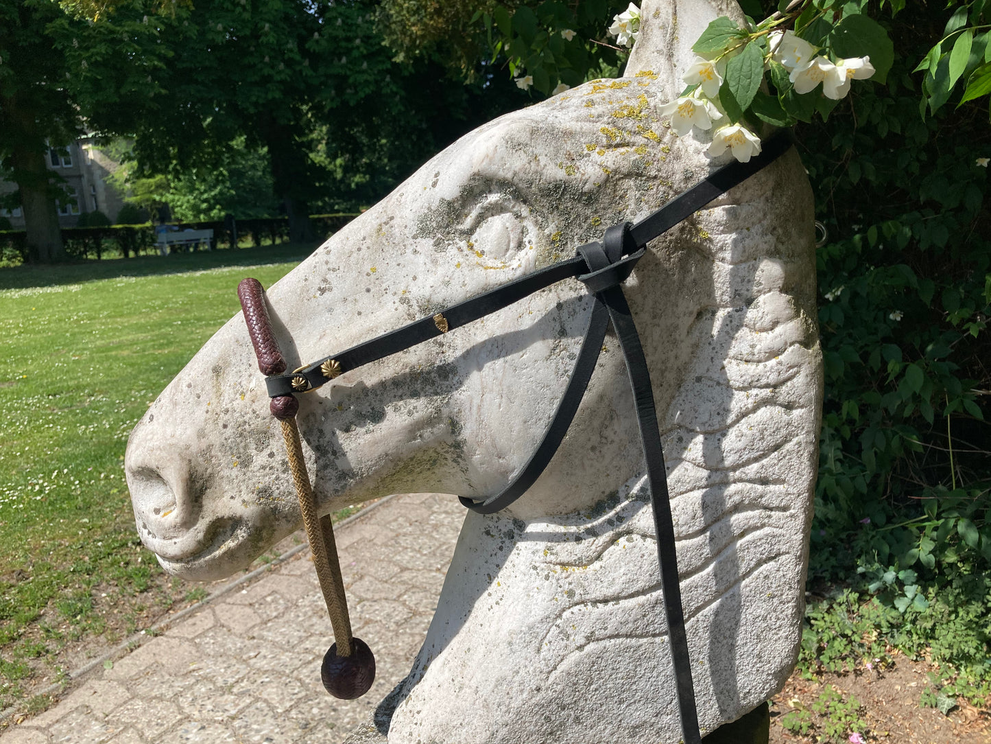 Bosalhanger mit Quick Release, Leder