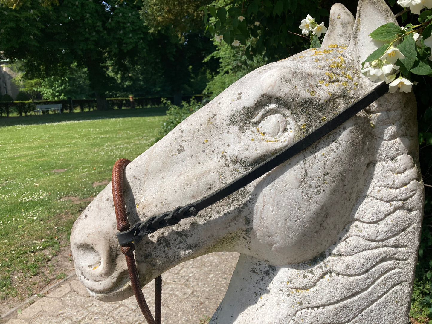 Bosalhanger einfach, Leder